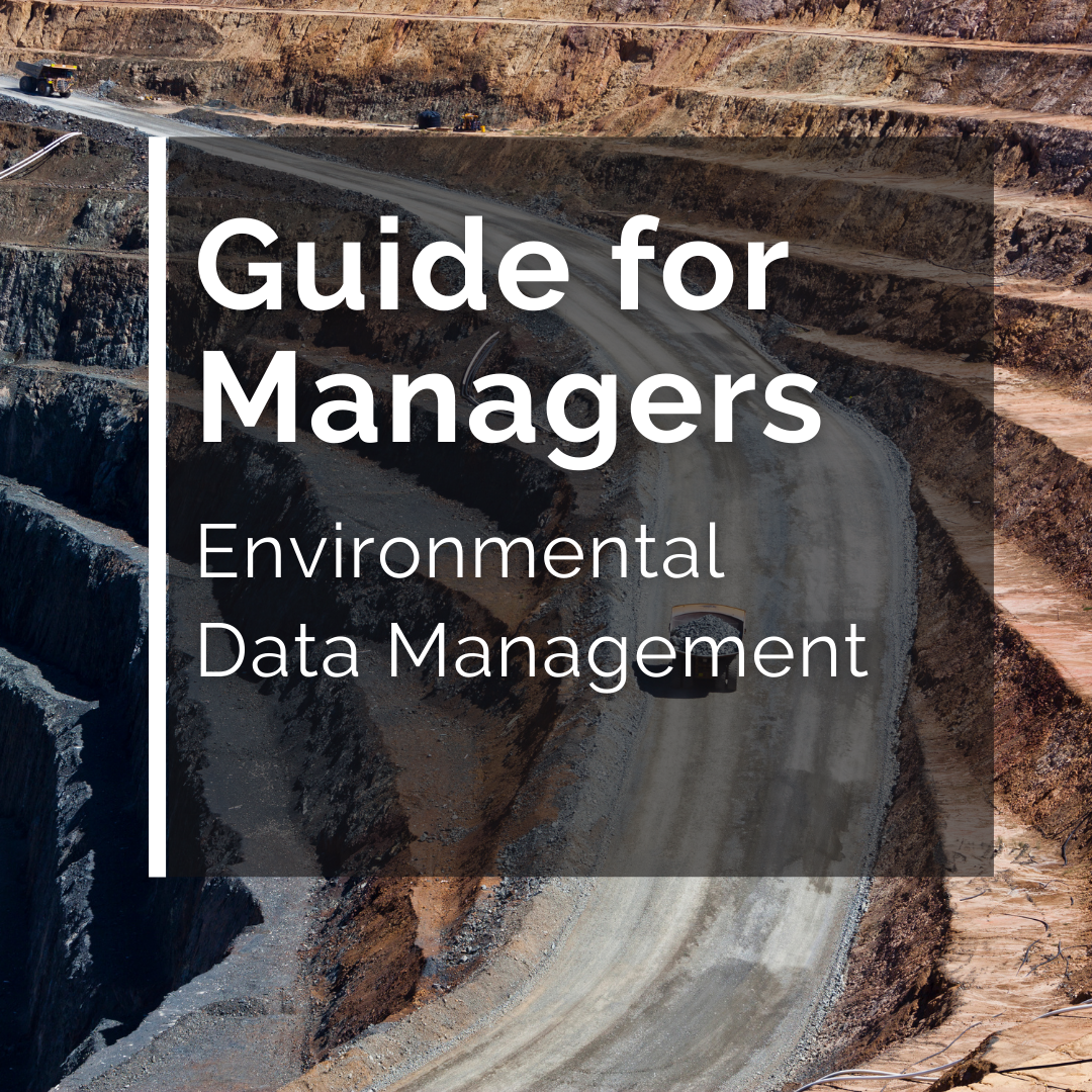 Mining Guide for Managers